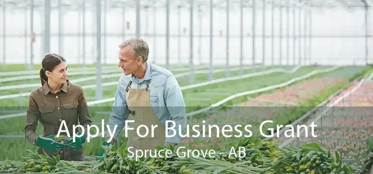 Apply For Business Grant Spruce Grove - AB